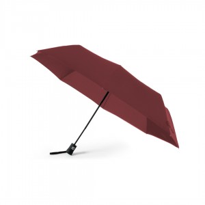 Parapluie Automatique